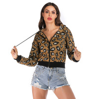 uploads/erp/collection/images/Women Clothing/YYFS/XU0367051/img_b/img_b_XU0367051_2_LSfGw1HovjDaDJeEE-XNXY64zLY626Xu